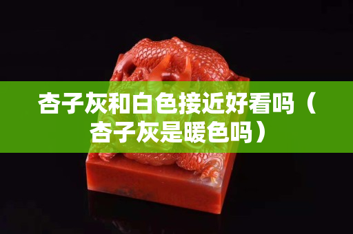 杏子灰和白色接近好看嗎（杏子灰是暖色嗎）