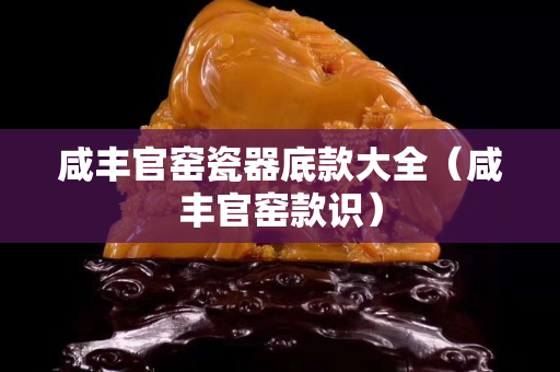 咸豐官窯瓷器底款大全（咸豐官窯款識）