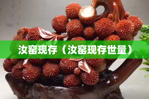 汝窯現存（汝窯現存世量）