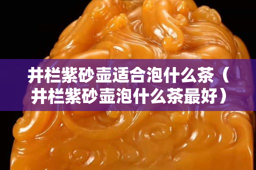 井欄紫砂壺適合泡什么茶（井欄紫砂壺泡什么茶最好）