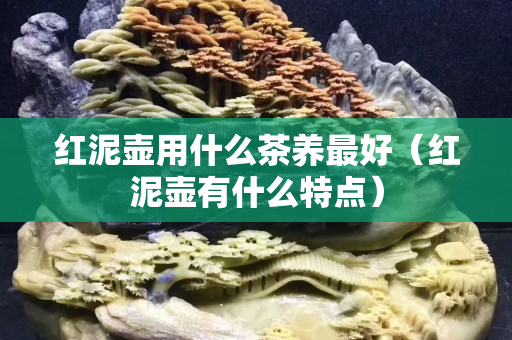 紅泥壺用什么茶養最好（紅泥壺有什么特點）