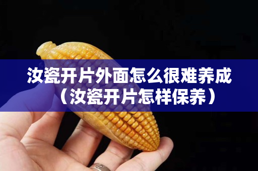 汝瓷開(kāi)片外面怎么很難養(yǎng)成（汝瓷開(kāi)片怎樣保養(yǎng)）