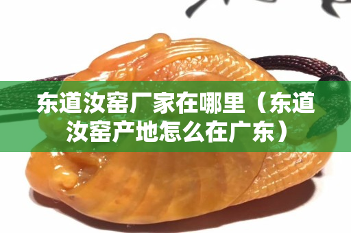 東道汝窯廠(chǎng)家在哪里（東道汝窯產(chǎn)地怎么在廣東）