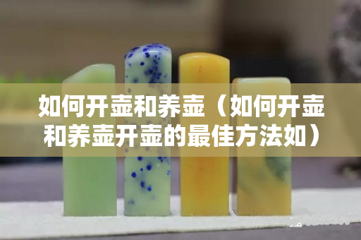 如何開(kāi)壺和養(yǎng)壺（如何開(kāi)壺和養(yǎng)壺開(kāi)壺的最佳方法如）