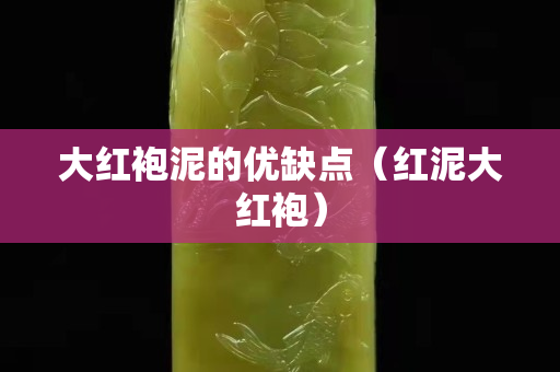 大紅袍泥的優(yōu)缺點(diǎn)（紅泥大紅袍）