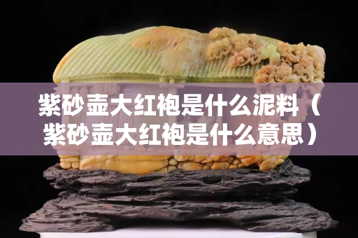 紫砂壺大紅袍是什么泥料（紫砂壺大紅袍是什么意思）