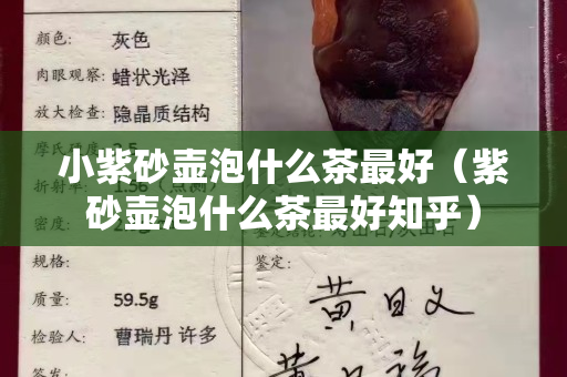 小紫砂壺泡什么茶最好（紫砂壺泡什么茶最好知乎）
