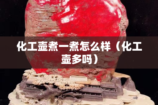 化工壺煮一煮怎么樣（化工壺多嗎）