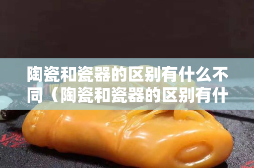 陶瓷和瓷器的區別有什么不同（陶瓷和瓷器的區別有什么？）