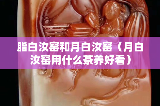 脂白汝窯和月白汝窯（月白汝窯用什么茶養好看）