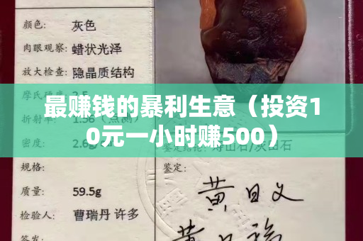最賺錢的暴利生意（投資10元一小時賺500）