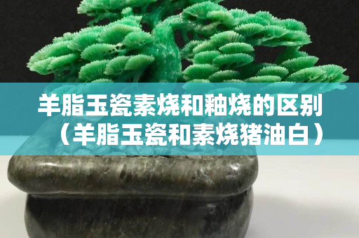 羊脂玉瓷素燒和釉燒的區別（羊脂玉瓷和素燒豬油白）