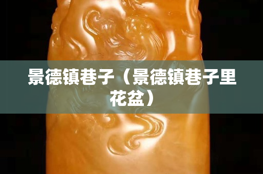 景德鎮巷子（景德鎮巷子里花盆）