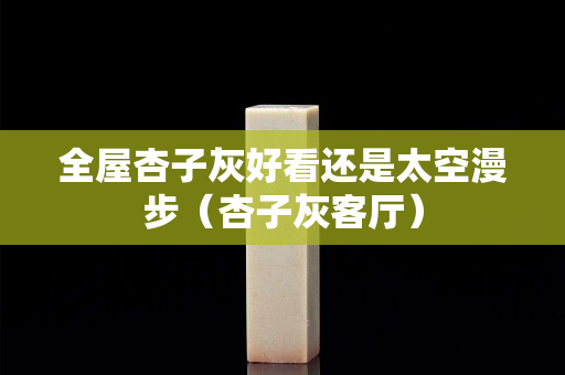 全屋杏子灰好看還是太空漫步（杏子灰客廳）