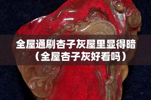 全屋通刷杏子灰屋里顯得暗（全屋杏子灰好看嗎）