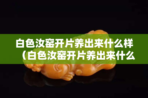 白色汝窯開片養(yǎng)出來什么樣（白色汝窯開片養(yǎng)出來什么樣的）