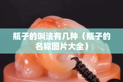 瓶子的叫法有幾種（瓶子的名稱圖片大全）