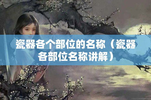 瓷器各個部位的名稱（瓷器各部位名稱講解）
