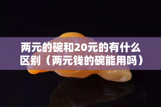 兩元的碗和20元的有什么區(qū)別（兩元錢的碗能用嗎）