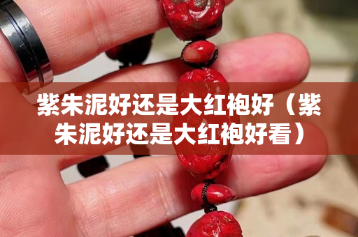 紫朱泥好還是大紅袍好（紫朱泥好還是大紅袍好看）