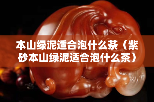 本山綠泥適合泡什么茶（紫砂本山綠泥適合泡什么茶）