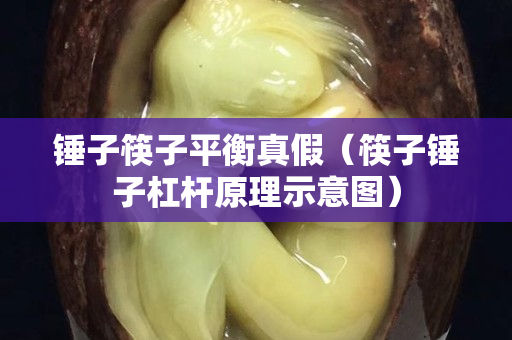 錘子筷子平衡真假（筷子錘子杠桿原理示意圖）