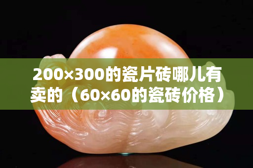 200×300的瓷片磚哪兒有賣的（60×60的瓷磚價格）