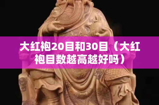 大紅袍20目和30目（大紅袍目數越高越好嗎）