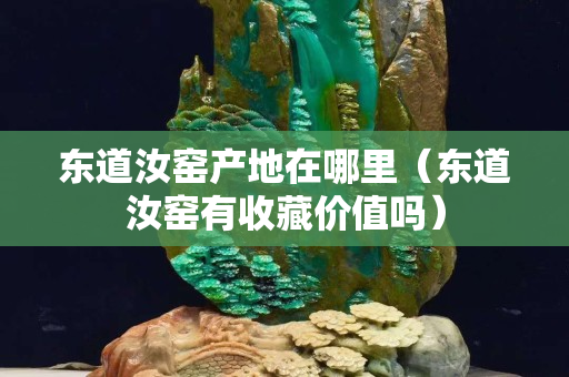 東道汝窯產地在哪里（東道汝窯有收藏價值嗎）