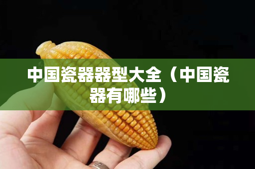 中國瓷器器型大全（中國瓷器有哪些）