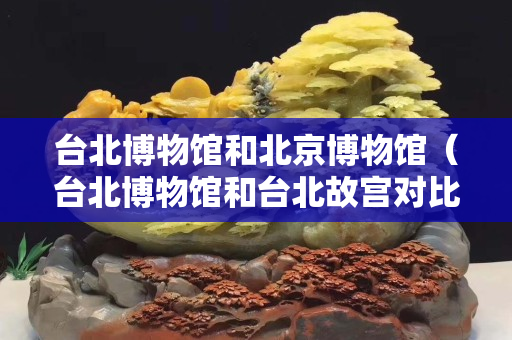 臺北博物館和北京博物館（臺北博物館和臺北故宮對比 知乎）