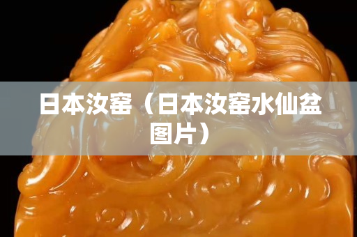 日本汝窯（日本汝窯水仙盆圖片）
