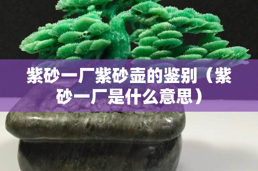 紫砂一廠紫砂壺的鑒別（紫砂一廠是什么意思）