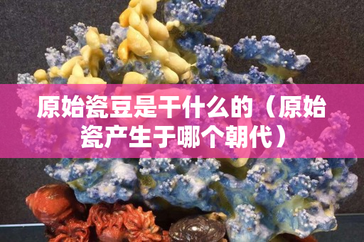 原始瓷豆是干什么的（原始瓷產生于哪個朝代）
