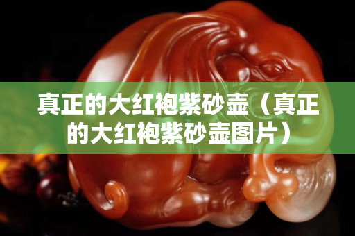 真正的大紅袍紫砂壺（真正的大紅袍紫砂壺圖片）