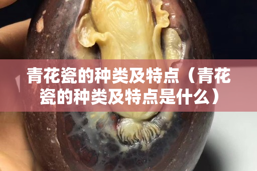青花瓷的種類及特點（青花瓷的種類及特點是什么）