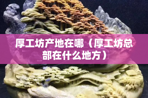厚工坊產地在哪（厚工坊總部在什么地方）
