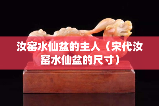 汝窯水仙盆的主人（宋代汝窯水仙盆的尺寸）