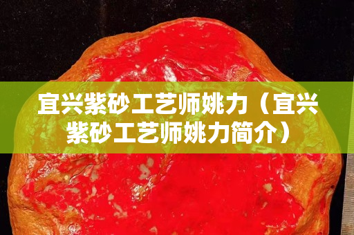 宜興紫砂工藝師姚力（宜興紫砂工藝師姚力簡(jiǎn)介）