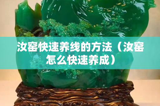 汝窯快速養(yǎng)線的方法（汝窯怎么快速養(yǎng)成）