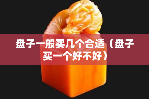 盤子一般買幾個(gè)合適（盤子買一個(gè)好不好）