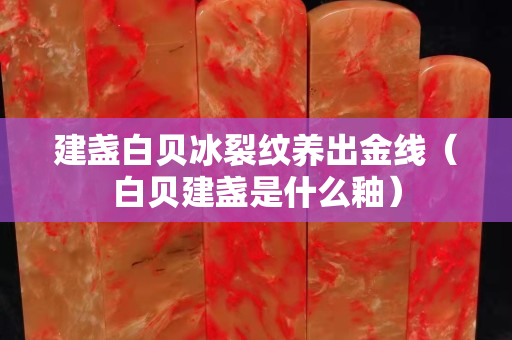 建盞白貝冰裂紋養(yǎng)出金線（白貝建盞是什么釉）