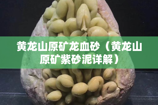 黃龍山原礦龍血砂（黃龍山原礦紫砂泥詳解）
