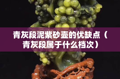 青灰段泥紫砂壺的優(yōu)缺點（青灰段屬于什么檔次）