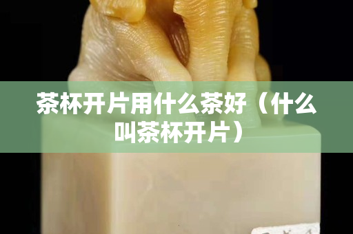 茶杯開片用什么茶好（什么叫茶杯開片）