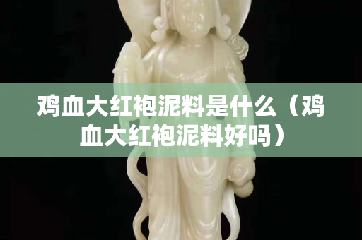 雞血大紅袍泥料是什么（雞血大紅袍泥料好嗎）