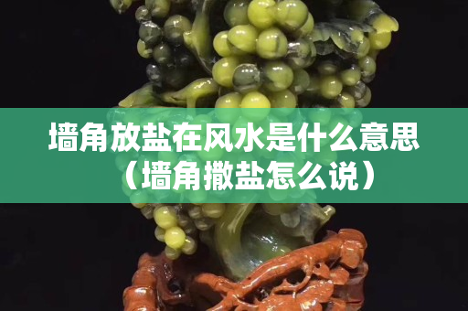 墻角放鹽在風水是什么意思（墻角撒鹽怎么說）