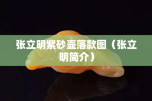 張立明紫砂壺落款圖（張立明簡介）