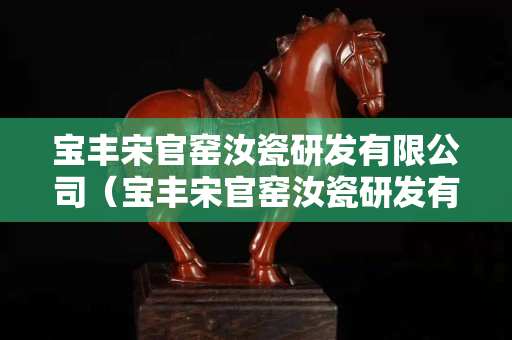 寶豐宋官窯汝瓷研發有限公司（寶豐宋官窯汝瓷研發有限公司地址）