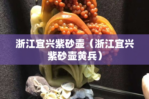 浙江宜興紫砂壺（浙江宜興紫砂壺黃兵）